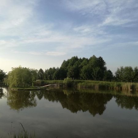 Agrowczasy Nad Stawem Villa Gartatowice Exteriör bild