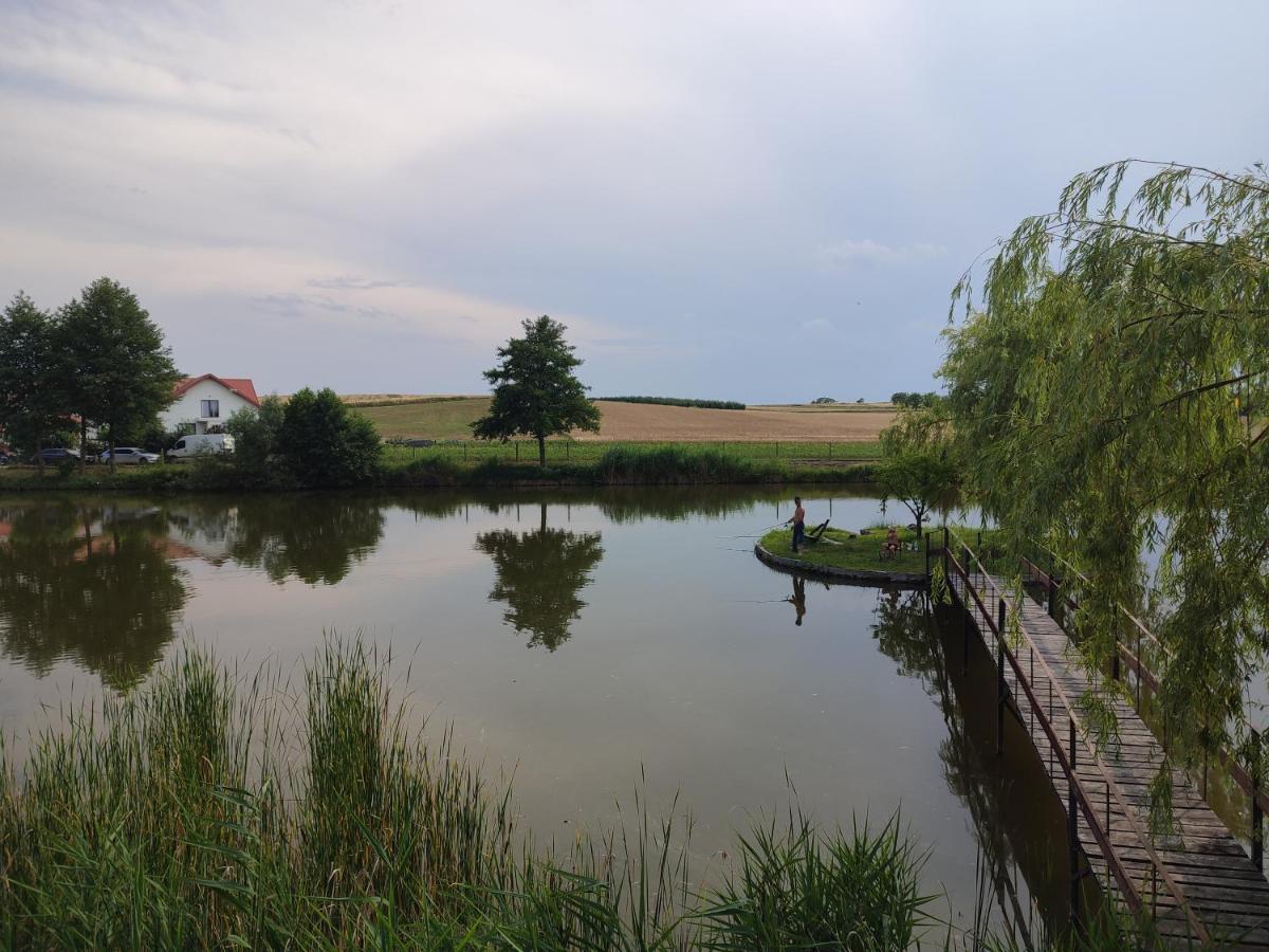 Agrowczasy Nad Stawem Villa Gartatowice Exteriör bild