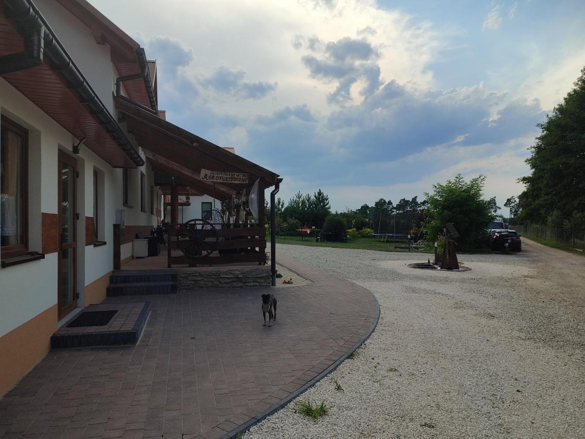 Agrowczasy Nad Stawem Villa Gartatowice Exteriör bild