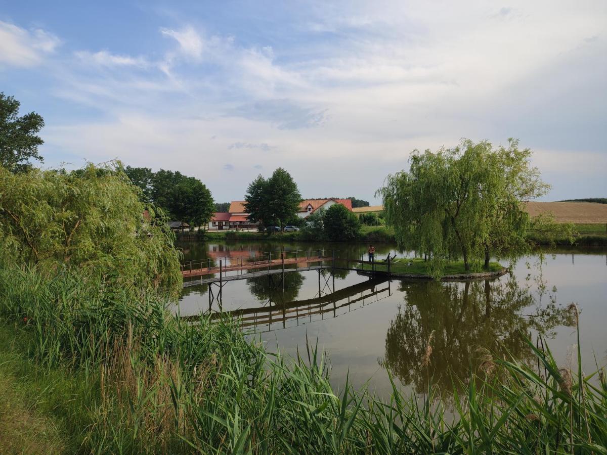 Agrowczasy Nad Stawem Villa Gartatowice Exteriör bild