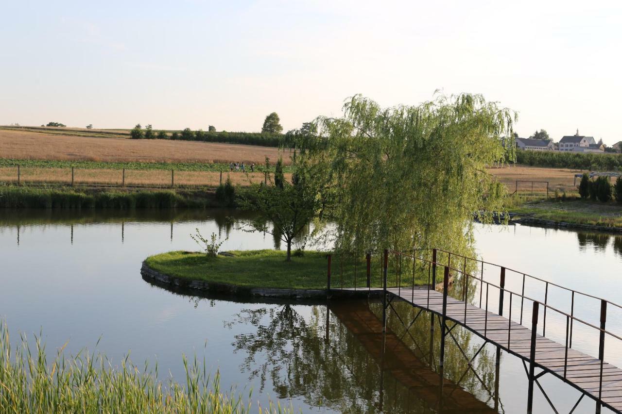 Agrowczasy Nad Stawem Villa Gartatowice Exteriör bild