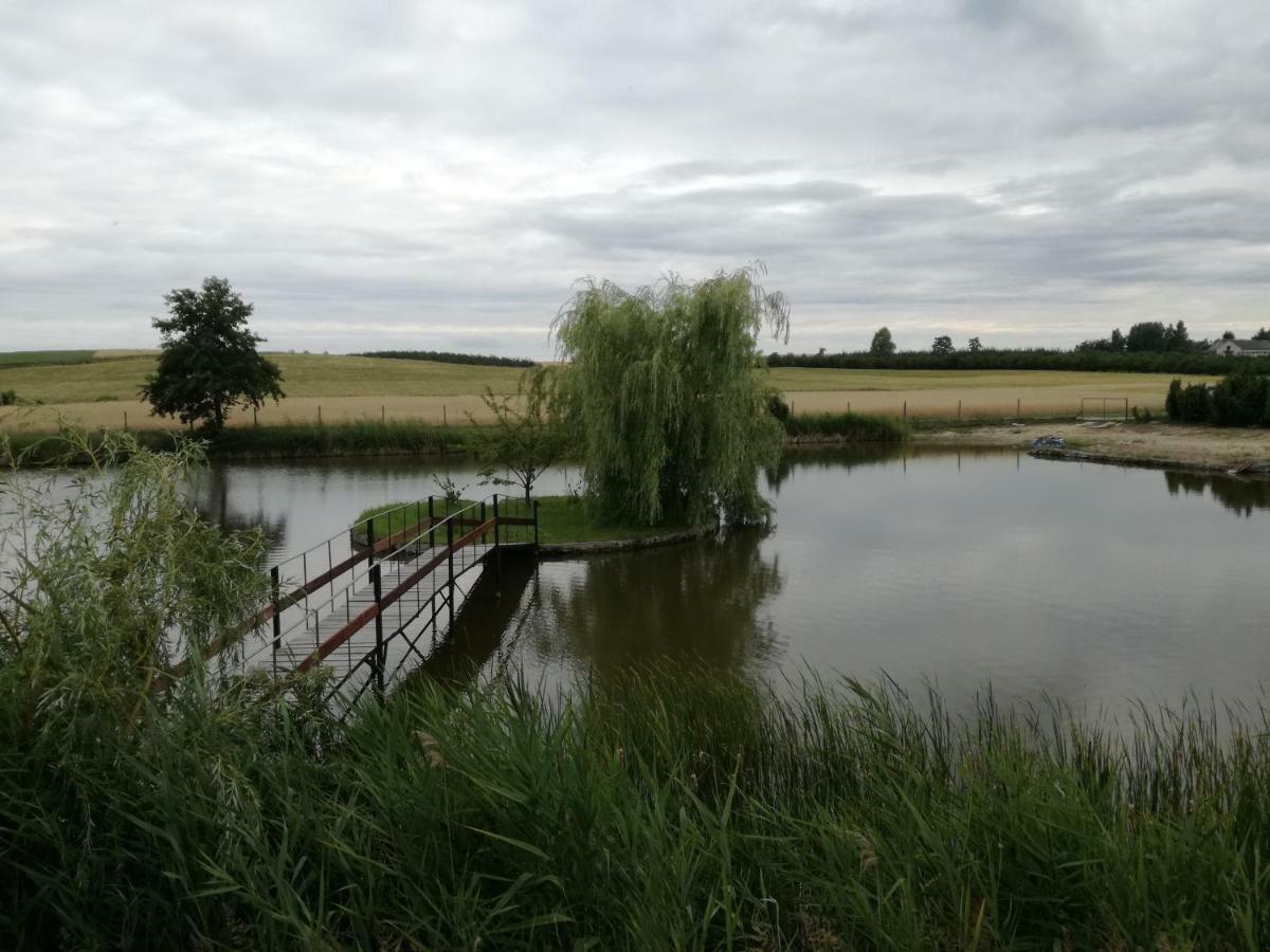 Agrowczasy Nad Stawem Villa Gartatowice Exteriör bild