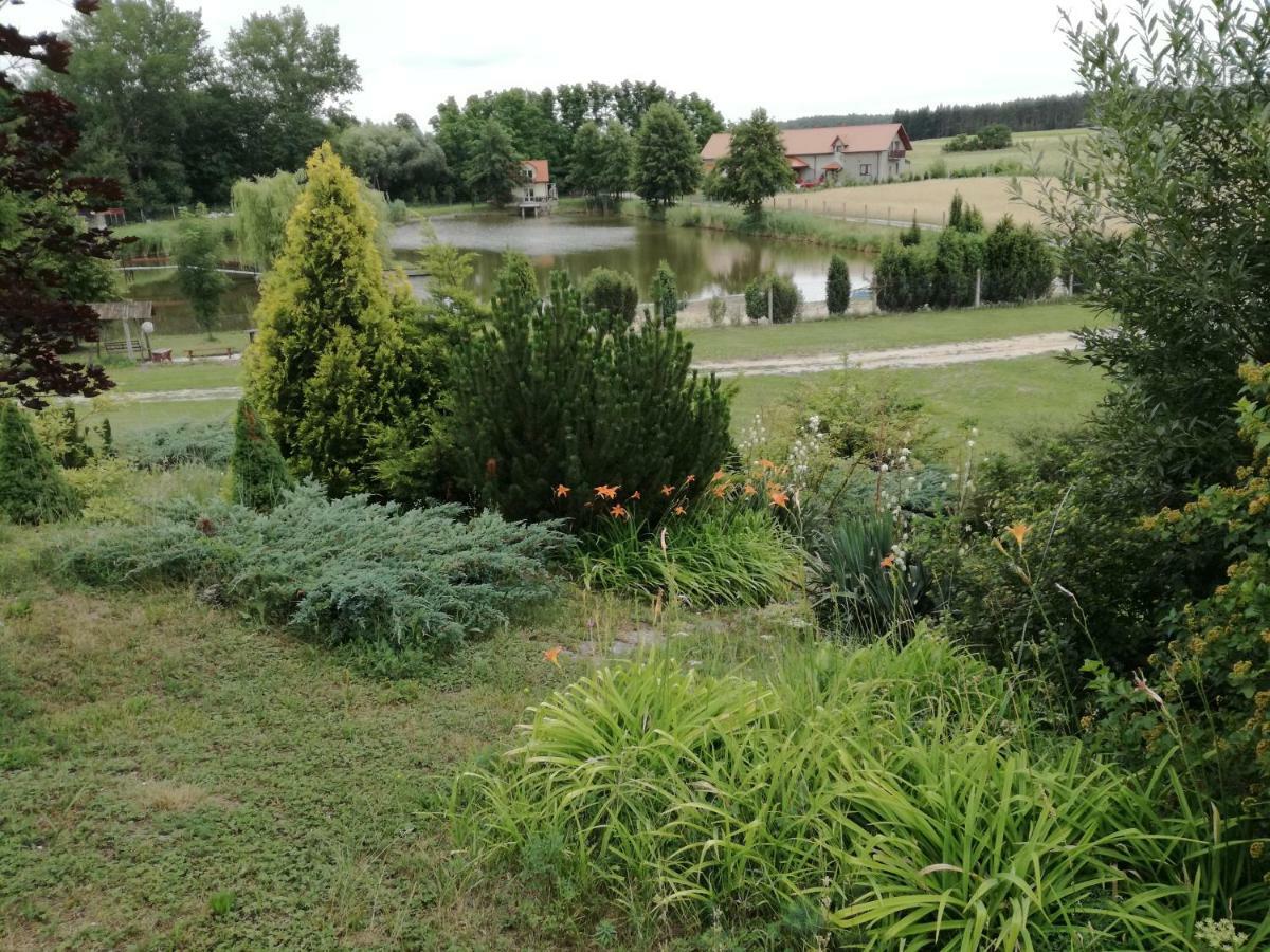 Agrowczasy Nad Stawem Villa Gartatowice Exteriör bild