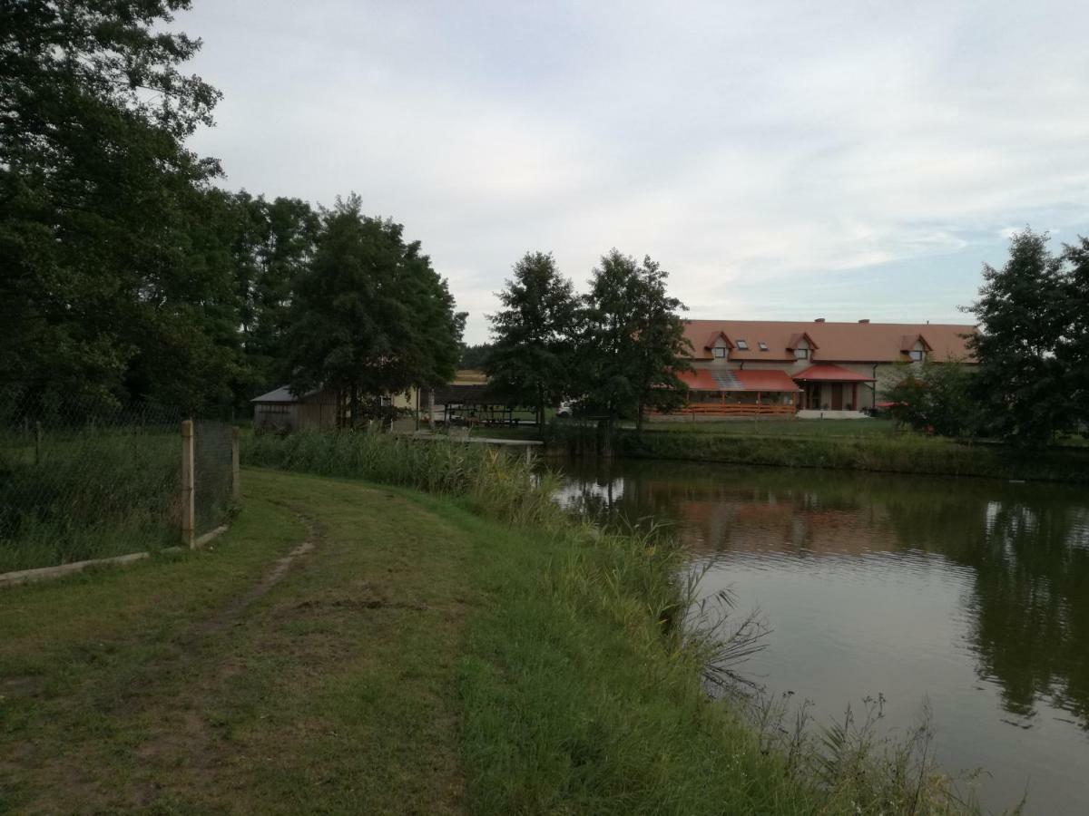 Agrowczasy Nad Stawem Villa Gartatowice Exteriör bild