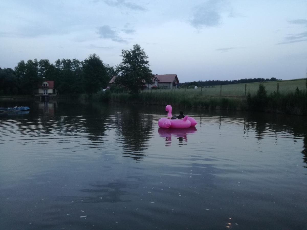 Agrowczasy Nad Stawem Villa Gartatowice Exteriör bild