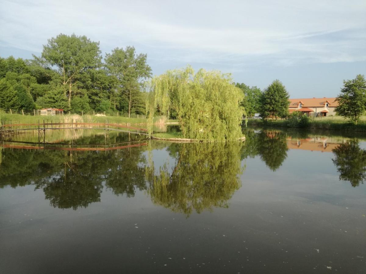 Agrowczasy Nad Stawem Villa Gartatowice Exteriör bild