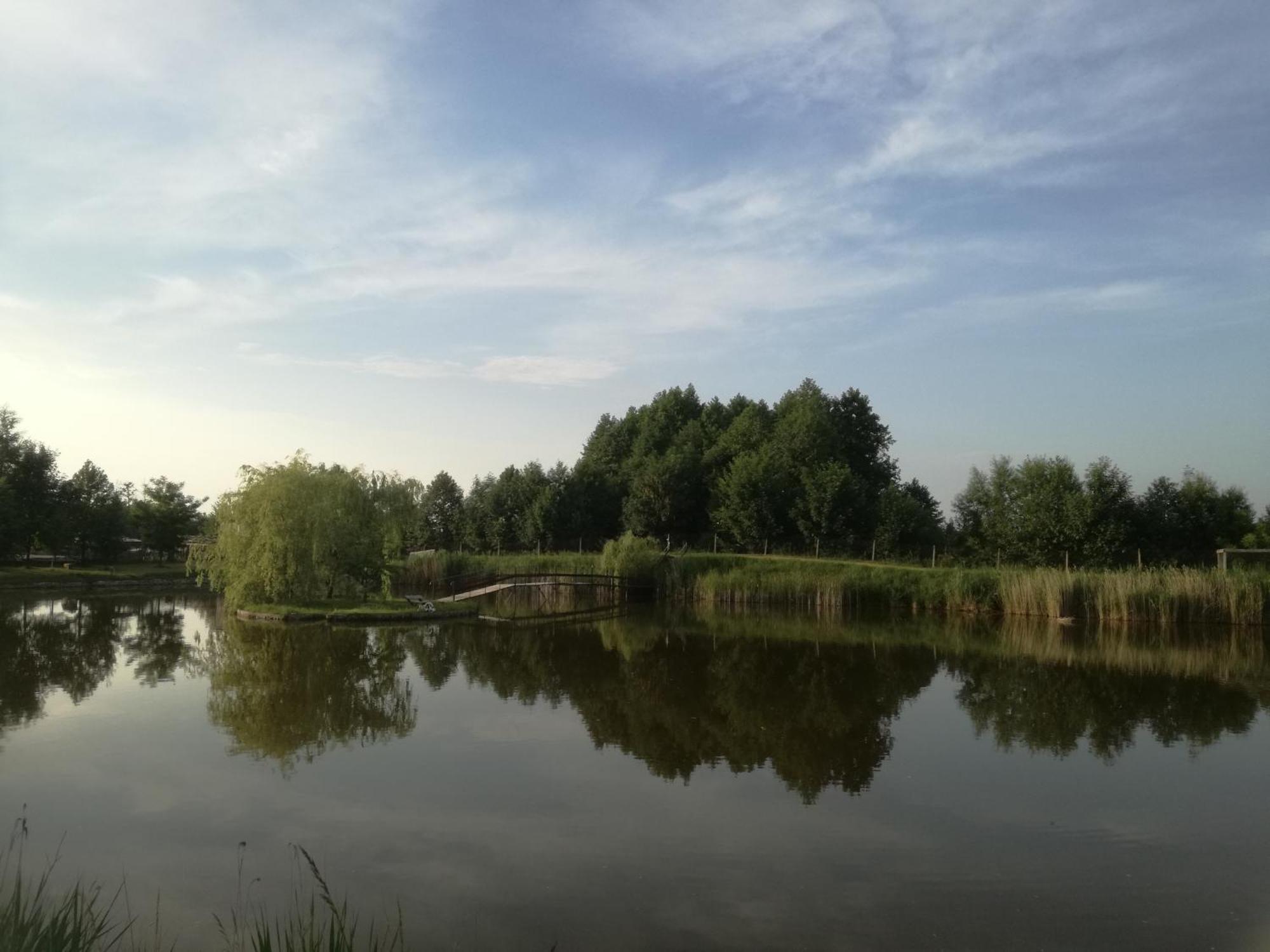 Agrowczasy Nad Stawem Villa Gartatowice Exteriör bild